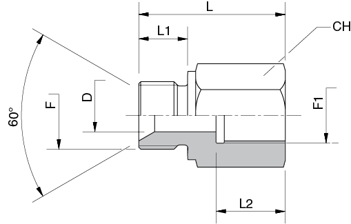 RIDUZIONE M - F BSPP (DIN/ISO 228) FORMATO B